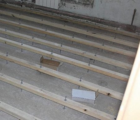 ������������ ����