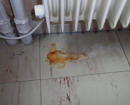 ��� �������� �������� ������� ��������������