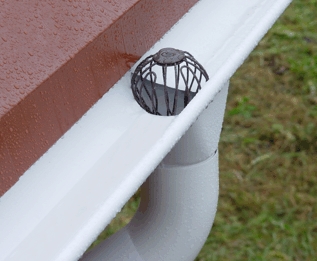 ��� ���������, ���� �� ������ ����������� ����������� �������?