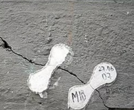 ������ �� �������������� ������ � ����