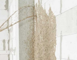 ����������� ��������� �������� ����������