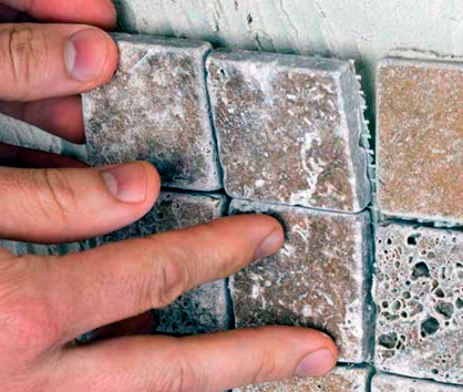 ����������� ��������� ���� ��������