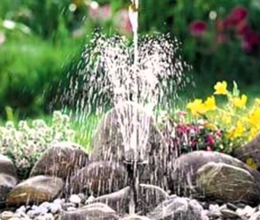 ��� ������� ������ �� ������ �������?