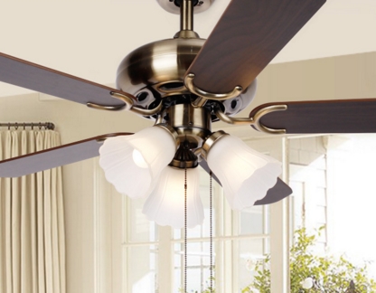 ���������� ����������: �����������