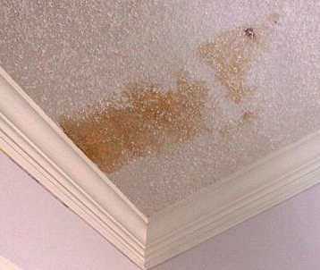 ��� ���������� �� ������ ����� �� ������ � �������