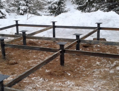 ��� ������ ���������� ������-�������� ���������