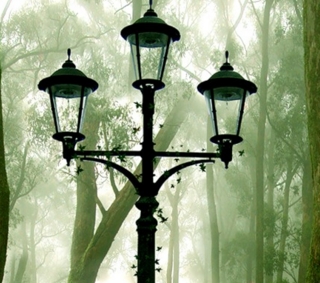 ������������� �������������� ������ �� �����