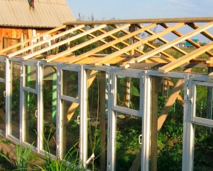 ��� ������ ��������� ������� �� ���������� ���