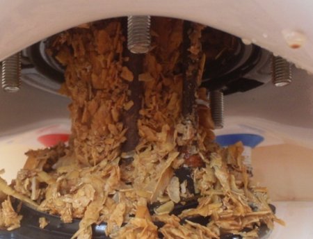 ��������������� ������ ������� �� ������