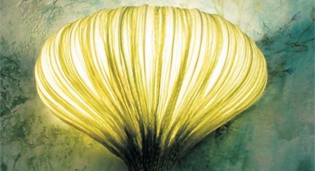 ����� ���������� �����������