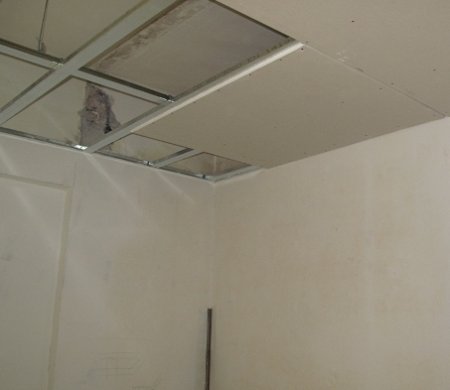 ����� � ������ ������������