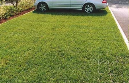 �������� ������� ��������