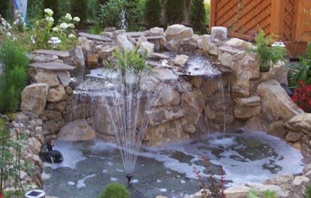 ���� ������� ��������