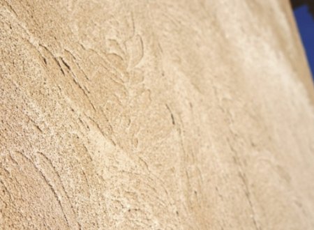 ���� ���������� ��� ������