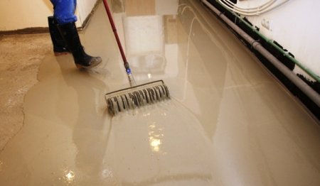 ������������������� �������� ���