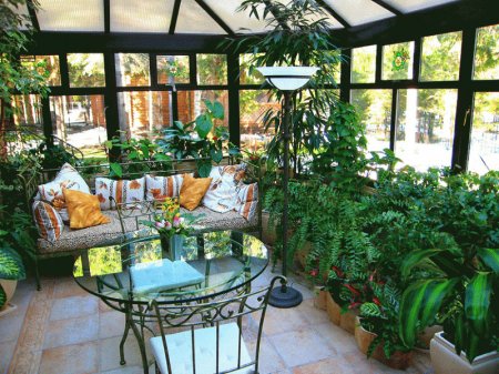 ���������� � ������� ����