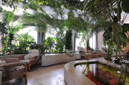 ���������� � ������� ����