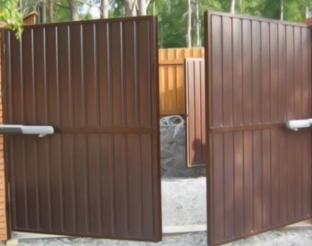 ������ ��� ����: ����� �������?