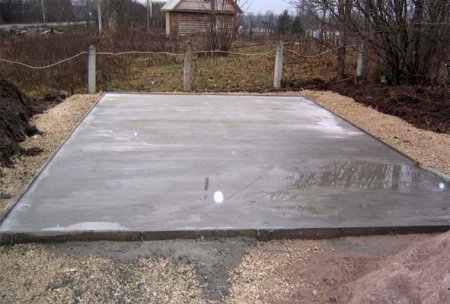 ���� �����������