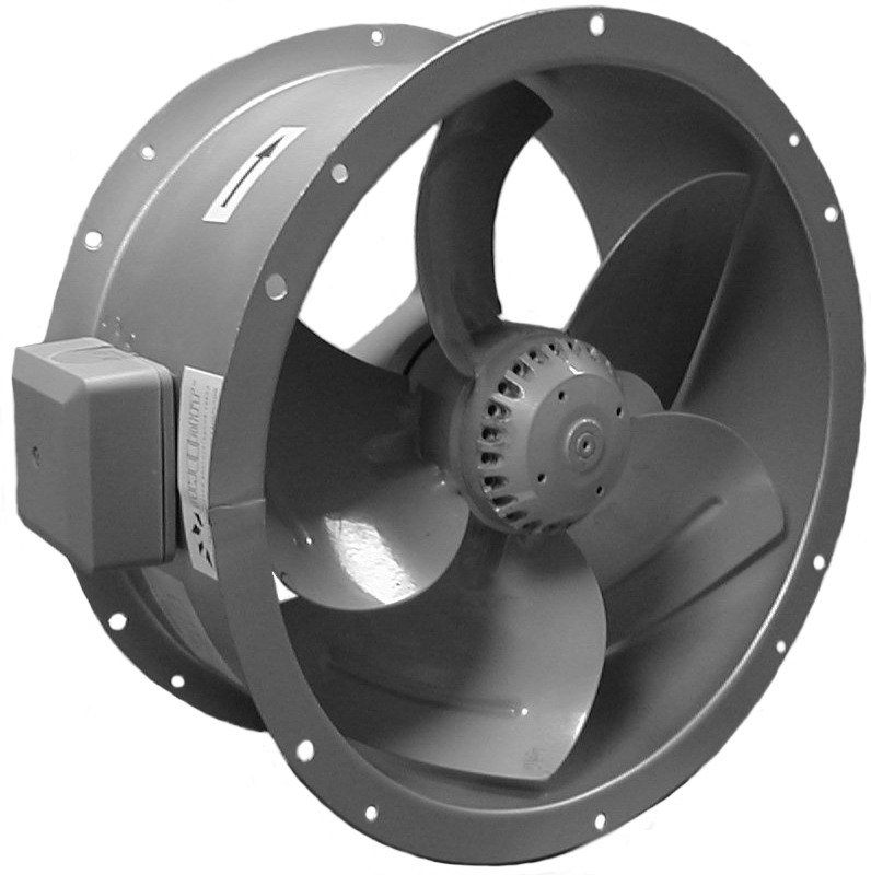 ������ �����������