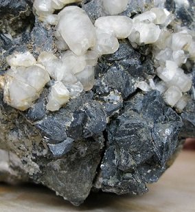 ������������� ���������