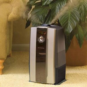 ������ ������ � ����� ����