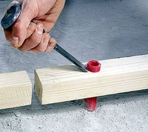 ��� ������� ������������ ���� ��������������?