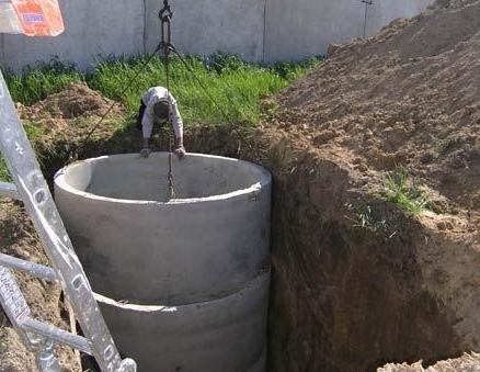 C����������� �����������