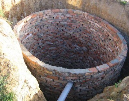 C����������� �����������