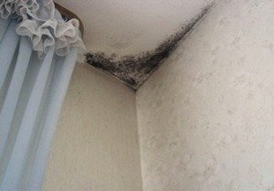 ��� ������ ���� ���������� ���� ����