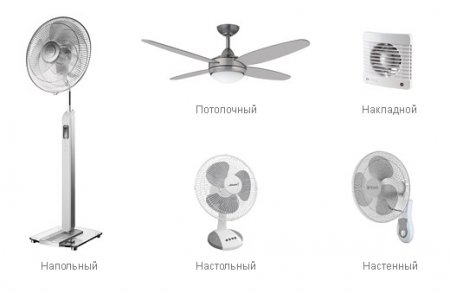 ��� ������� ����������