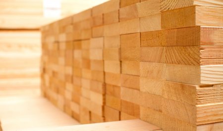 ������������� �������� �����