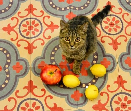 ����������� ������� � ����� �� ������� ������ ������