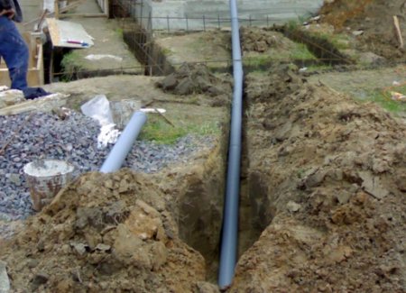 C����������� �����������