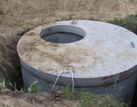 C����������� �����������