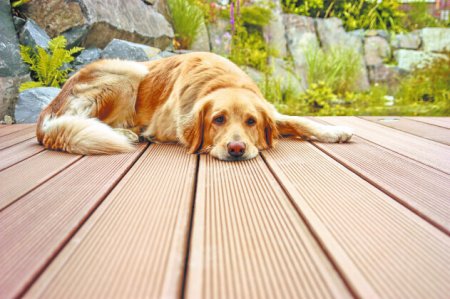 ������ ����������� ����� ������� �������