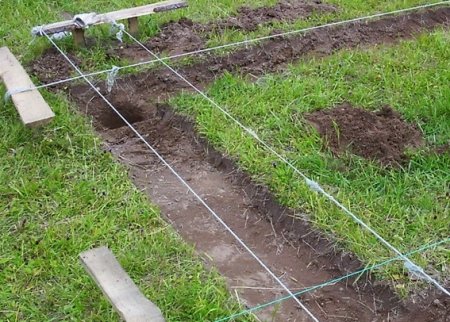 ������ �������� ��� ���������