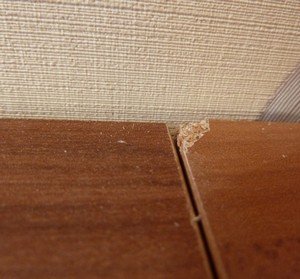 ��� ������, ���� ��������� ������ ��������� �����������? 