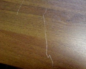 ��� ������, ���� ��������� ������ ��������� �����������? 