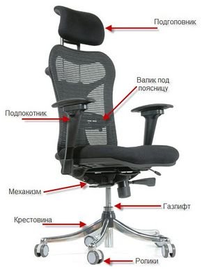 Как выбрать стул с подлокотниками для офиса?
