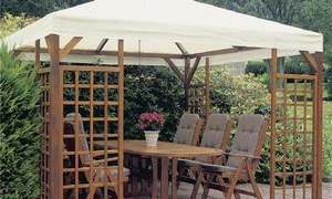 ��� ������ ��������� ����� �� ����?