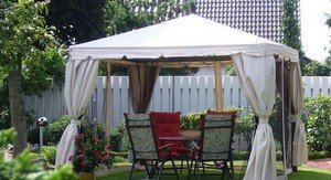 ��� ������ ��������� ����� �� ����?