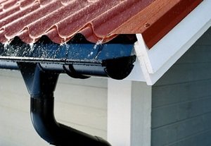 ��� ������� ������ ��� ����� ������?