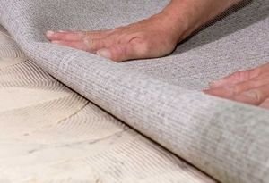 ��� ���� ���������� ���������� �������� ��� ��������?