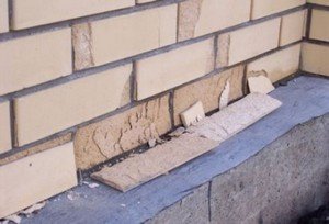 ��� ���������� �������� ������ �� �����