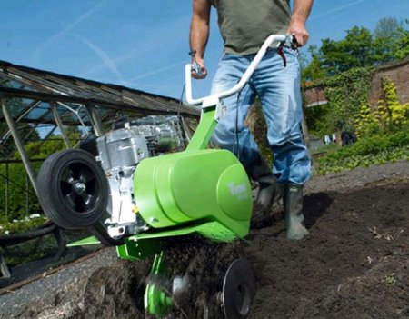 �������� ��� �������: ��� ��������� ���������� ������ ��� ������?