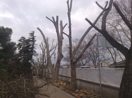 �������� ��������