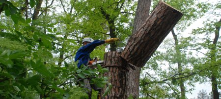 �������� ��������