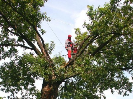 ������� � ������������ ��������