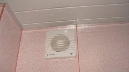 ������� �����������. ����� � ������������